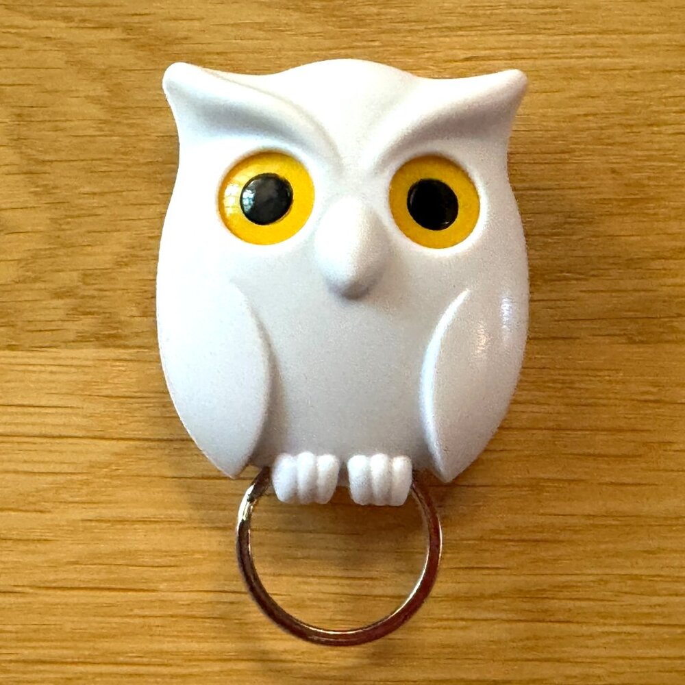 Magnetic Wall Hanging Night Owl Key Holder, White